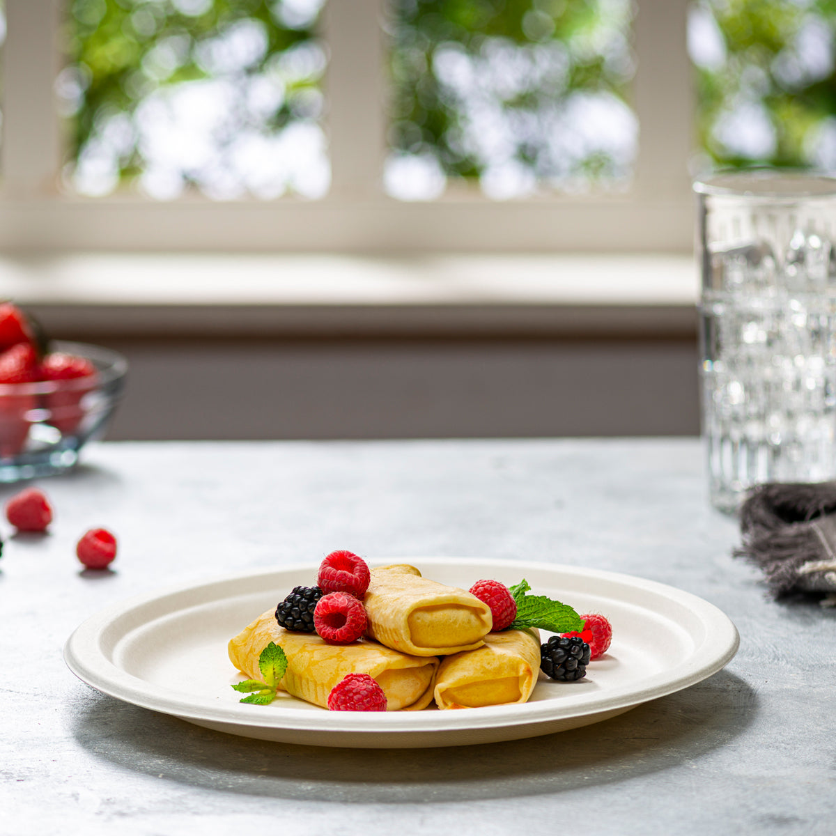 10 Inch Heavy-Duty Plates Eco-Friendly 100% Compostable Disposable Sugarcane Paper Plates - Comfy Package