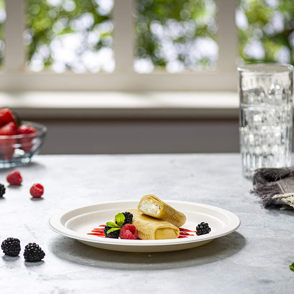 9 Inch Heavy-Duty Plates Eco-Friendly 100% Compostable Disposable Sugarcane Paper Plates