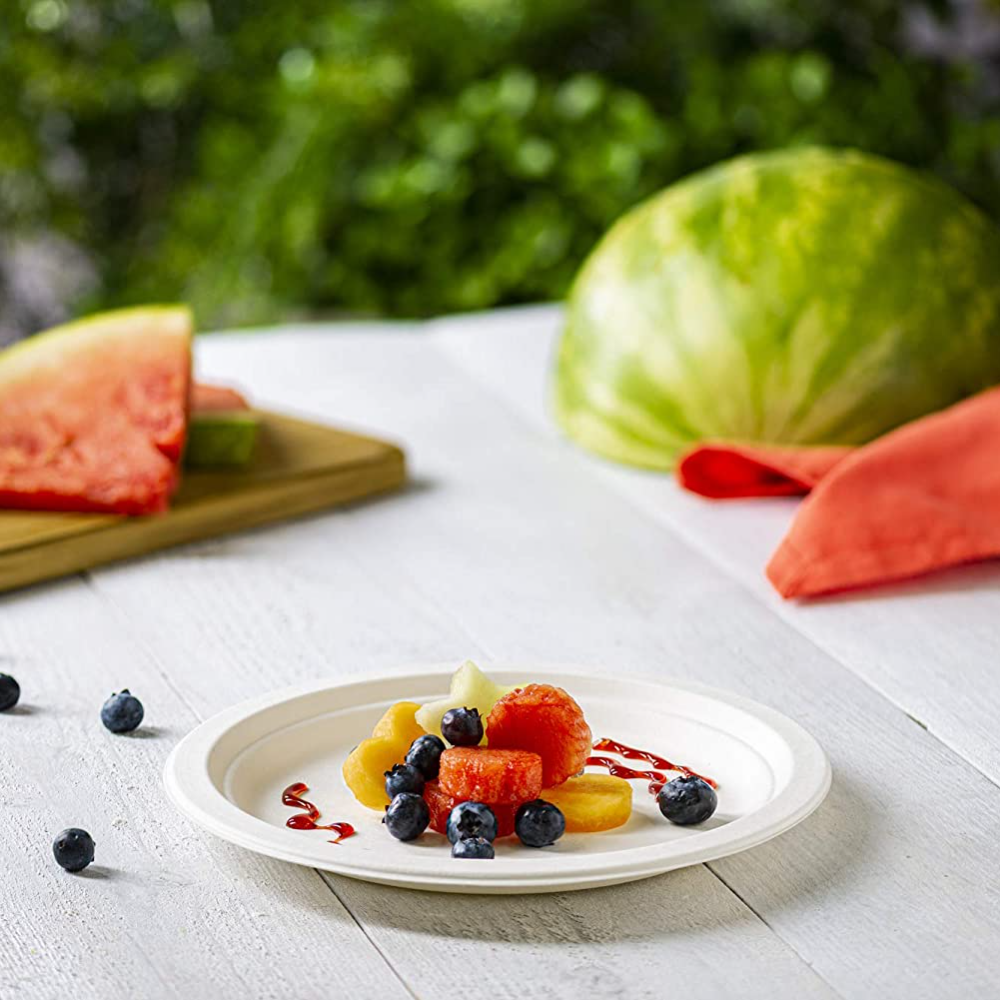 9 Inch Heavy-Duty Plates Eco-Friendly 100% Compostable Disposable Sugarcane Paper Plates