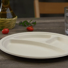 9 Inch Heavy-Duty Plates 3 Compartment 100% Compostable Eco-Friendly Disposable Sugarcane Paper Plates | Brown Unbleached