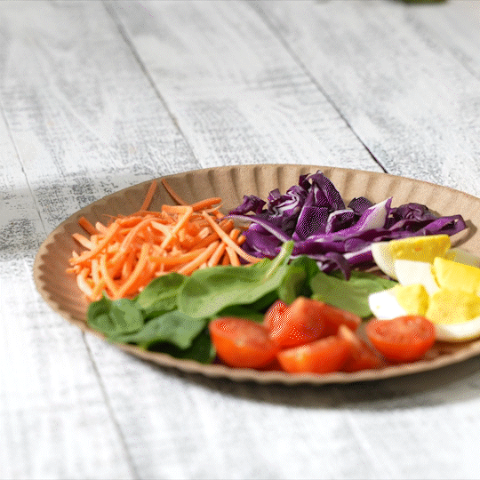 9 Inch Disposable Kraft Uncoated Paper Plates, 9 Inch Large- Unbleached