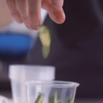 1 oz. Plastic Disposable Portion Cups With Lids - Souffle Cups