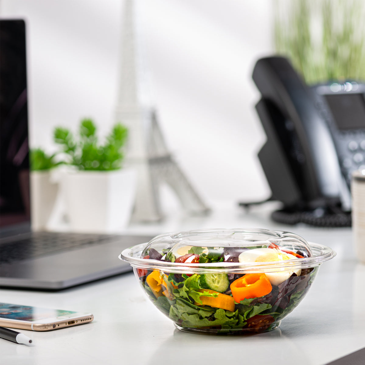 24 oz. Plastic Salad Bowls To-Go With Airtight Lids - Comfy Package